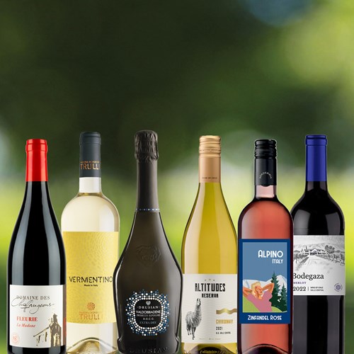 Summer BBQ Selection Case of 6 Mixed Wines - Perfect Gift
